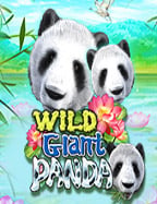 ฝาก 30 ได้ 100 ทำยังไงให้คุ้มกับเกมสล็อต